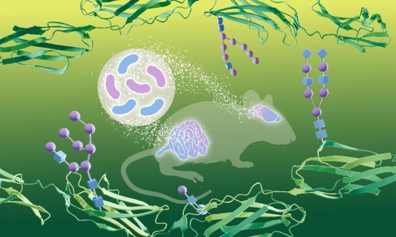 Bacteria-Brains-and-Sugar-Illustration-777×466-1